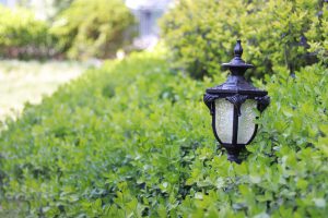 Lampy ogrodowe – które dają najwięcej światła? Jakie kupić